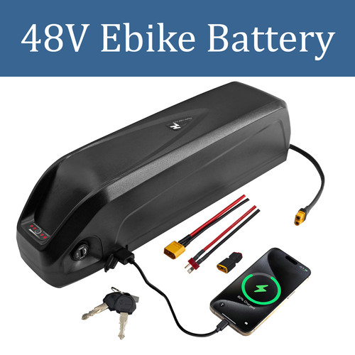 Volt 20ah 16ah 10ah battery - 20ah,